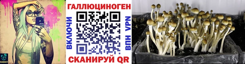Псилоцибиновые грибы мухоморы  продажа наркотиков  Выборг 